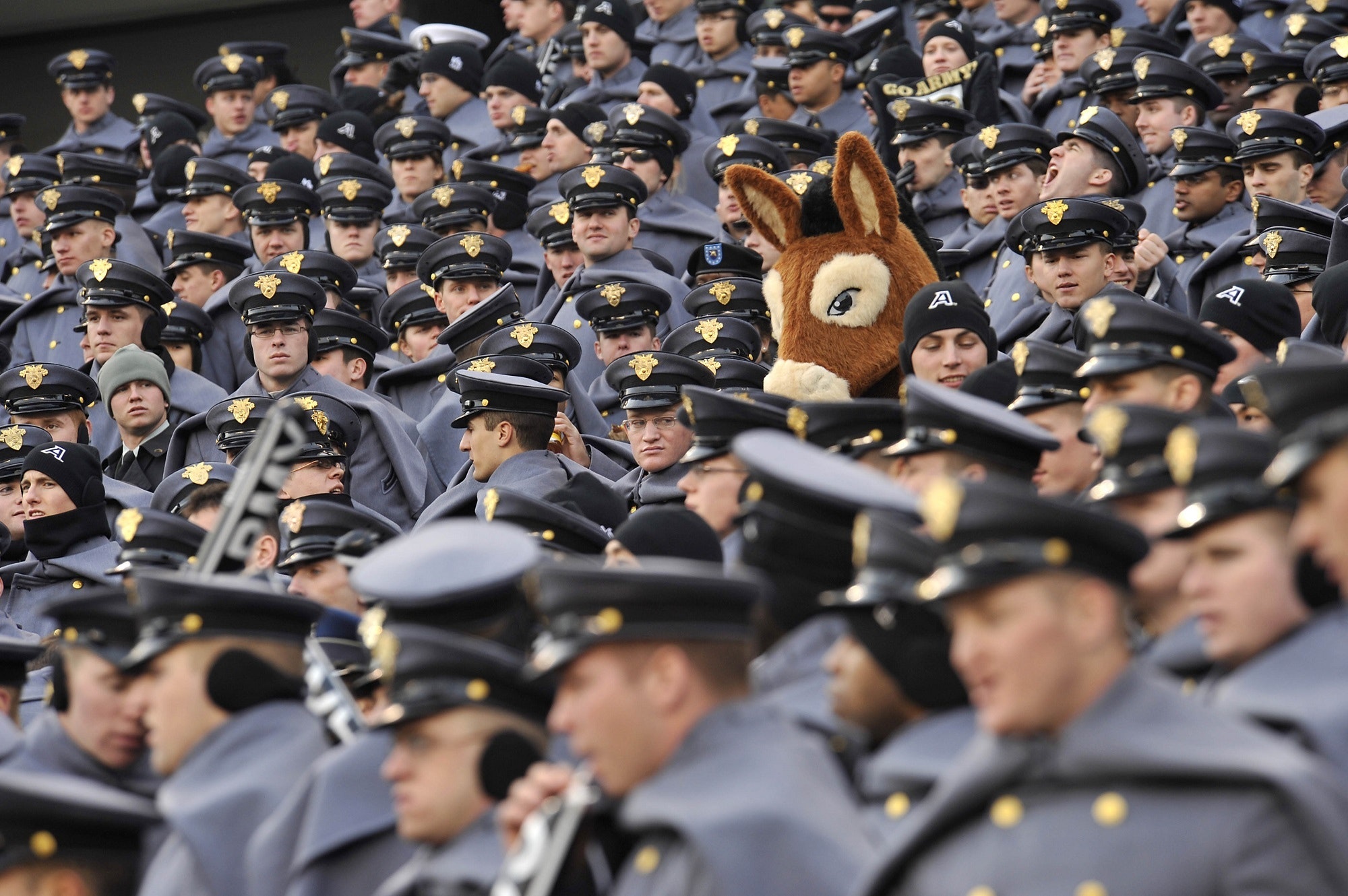 Photo by Pixabay: https://www.pexels.com/photo/air-force-army-cadets-ceremony-270024/